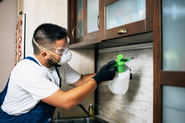Best Bed Bug Extermination  in Miamitown, OH