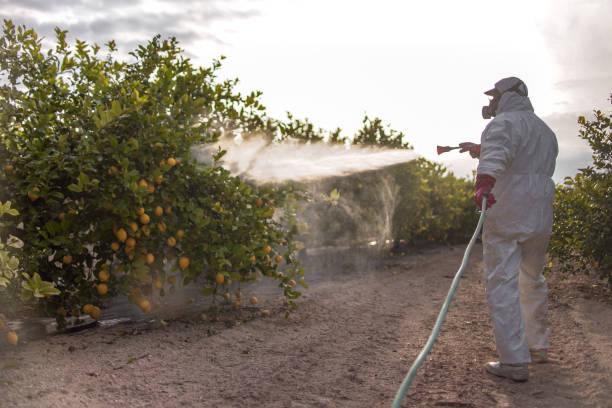 Best Best Pest Control Companies  in Miamitown, OH