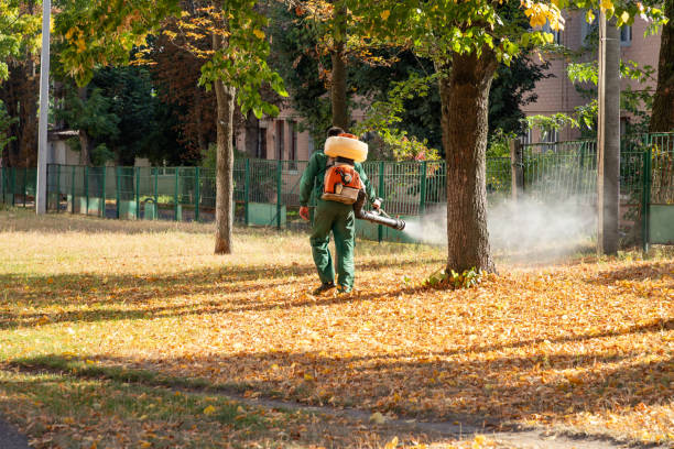 Best Exterminator Services  in Miamitown, OH